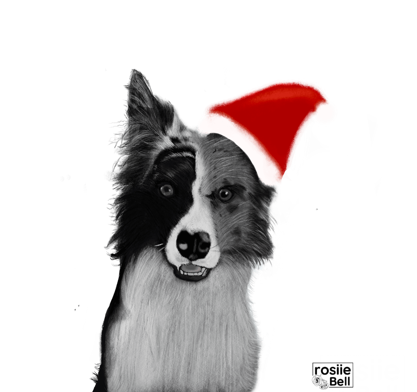Christmas Border Collie! product image (3)