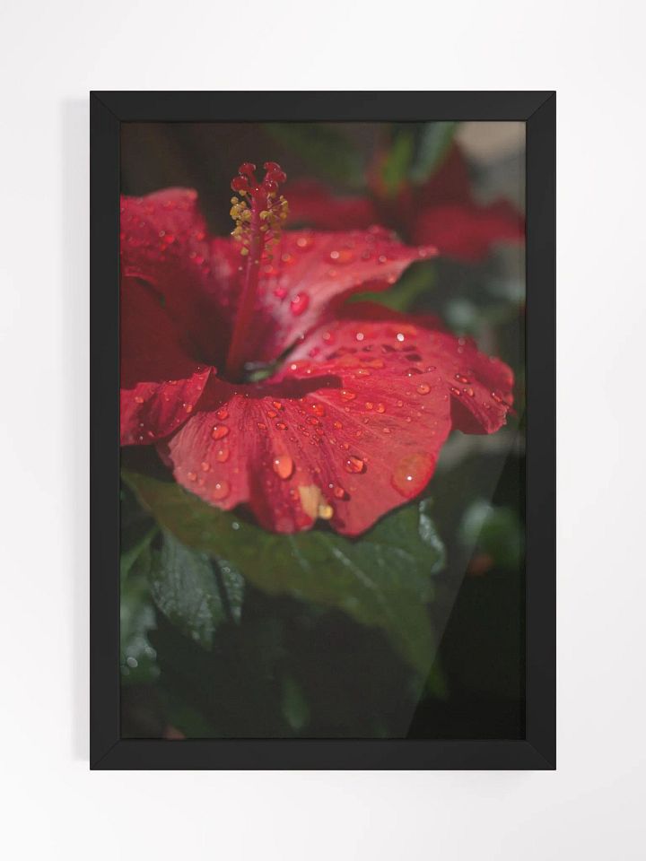 Love Joy Always Loves Bestseller Poster And Frame product image (3)