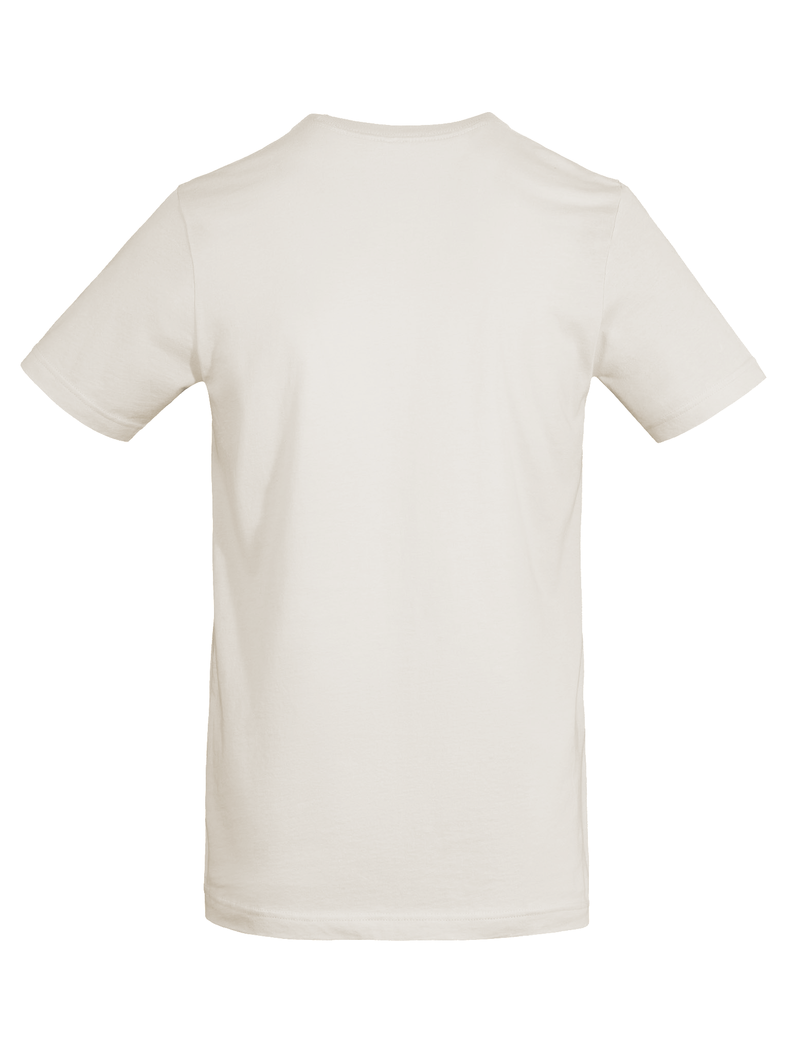 BCC Old School Super Soft Tee product image (37)