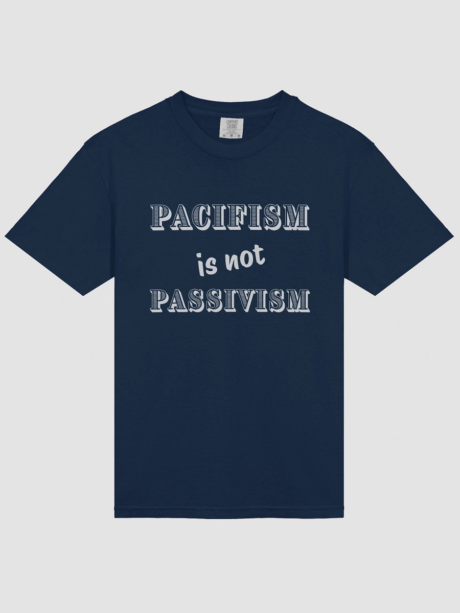 Pacifism is not Passivism Heavyweight Relaxed Fit Tee product image (3)