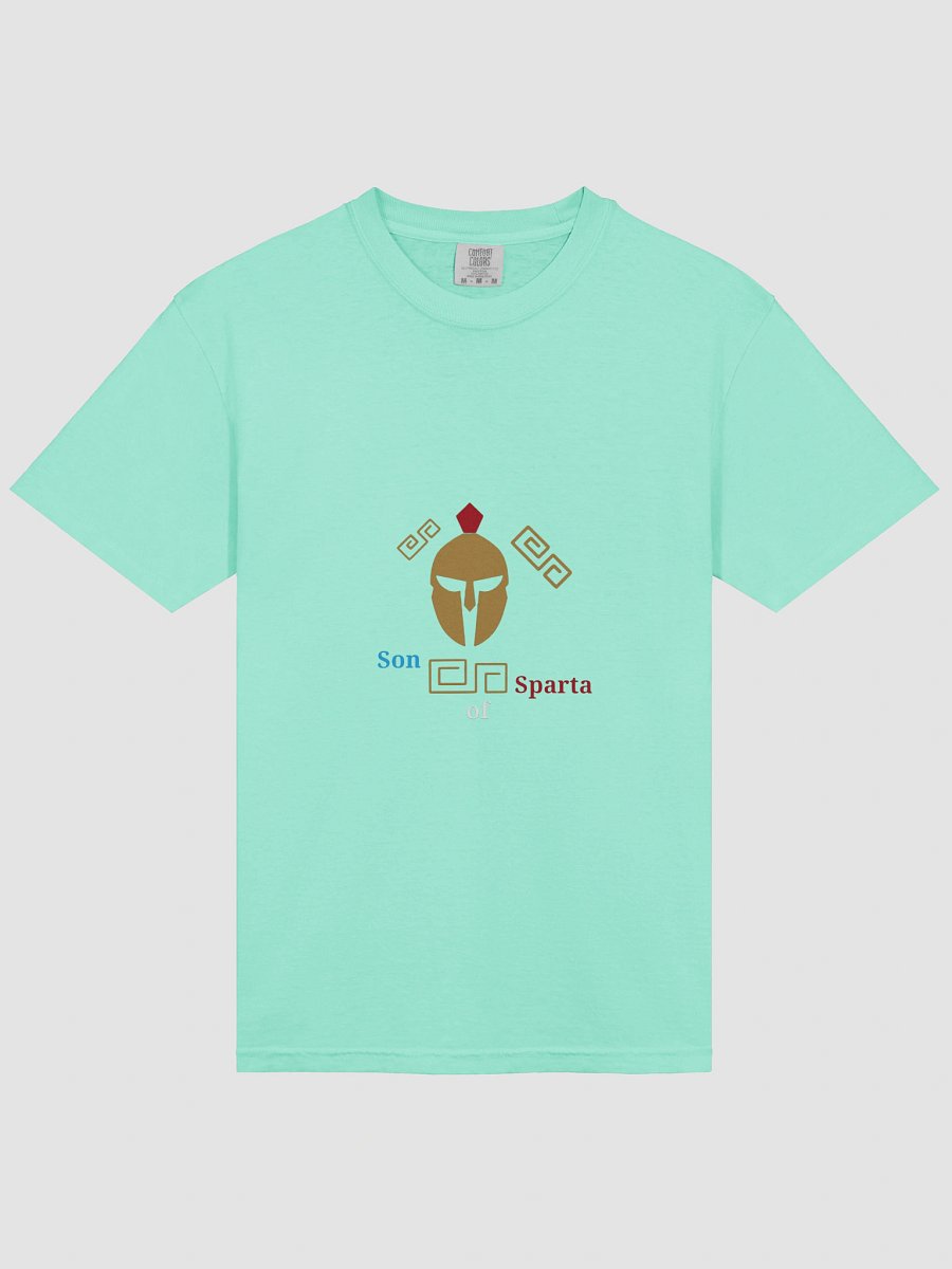 Spartan Crest Comfort Tee product image (3)