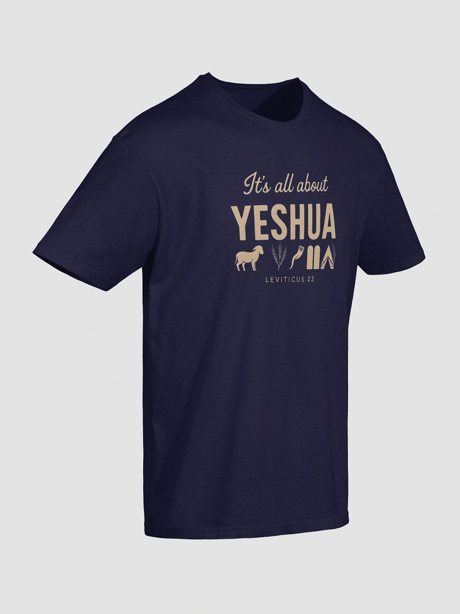 It's All About Yeshua T-Shirt product image (81)