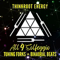 MP3 ALBUM | All 9 Solfeggio Tuning Forks + Binaural Beats product image (1)