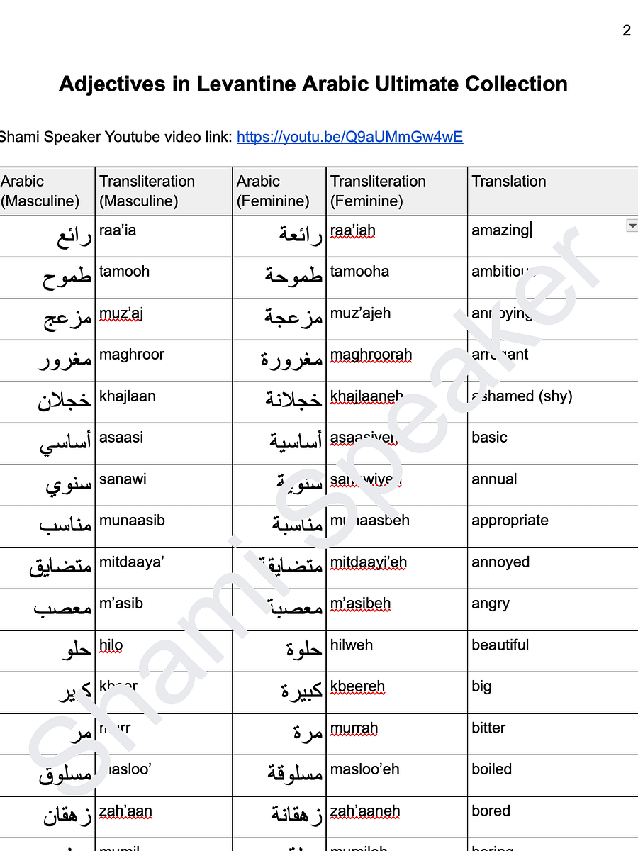 Adjectives in Levantine Arabic Ultimate Collection product image (2)
