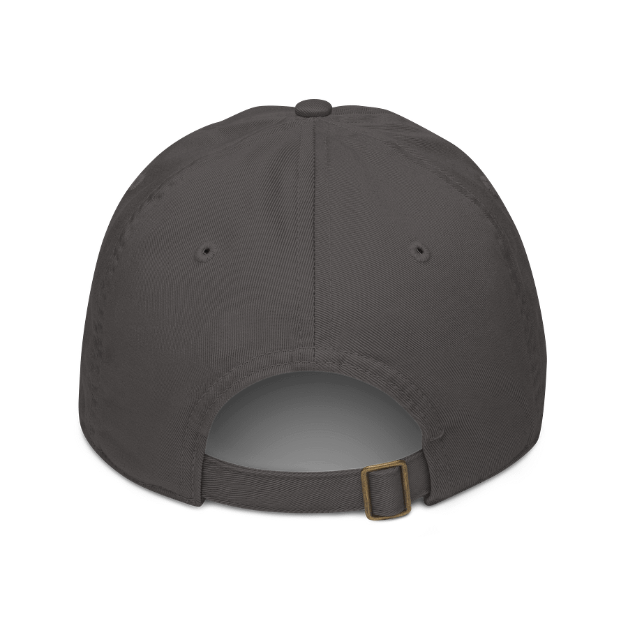 Organic Tree Circle Dad Hat product image (2)
