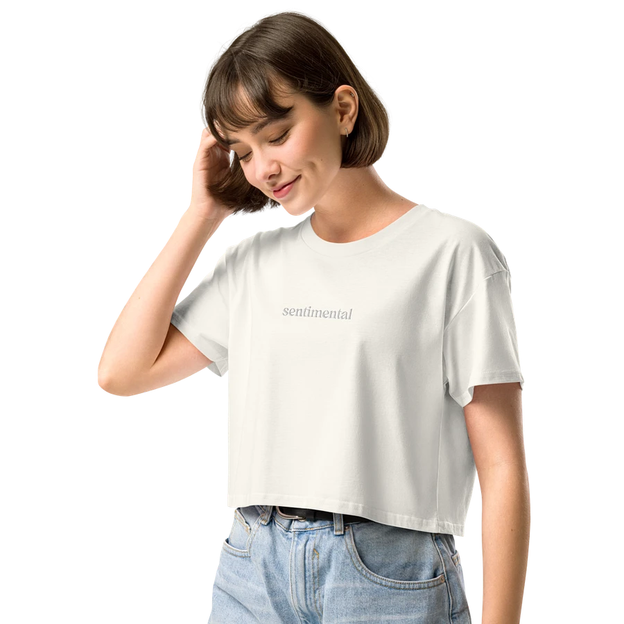 Sentimental Embroidered Crop Top product image (12)