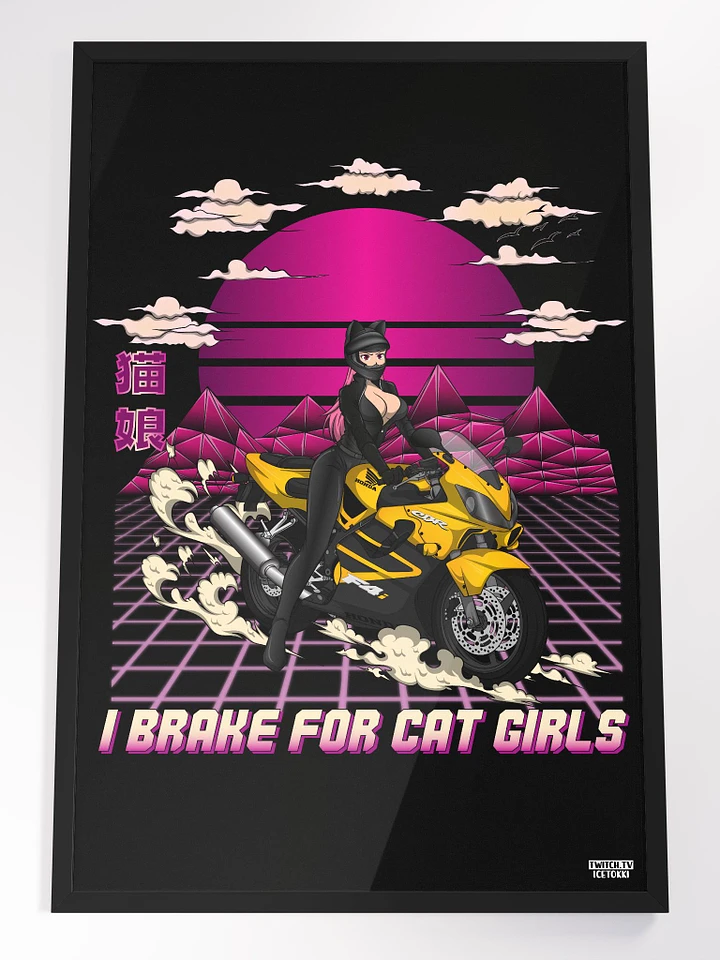 2'x3' Biker Cat Girl Poster product image (1)