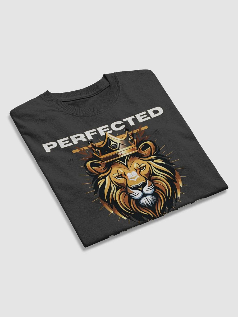 PHS Lion Head #007 product image (3)