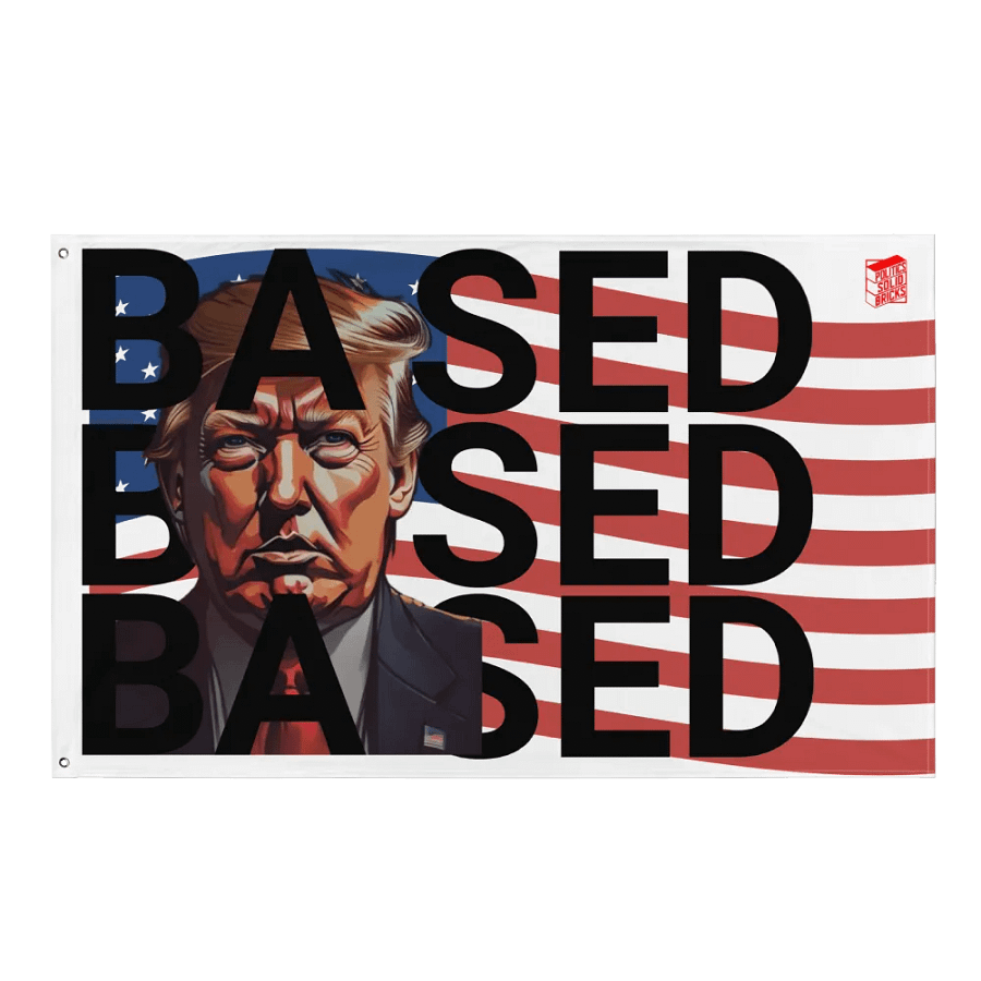 BASED American Flag Mugshot ~Flag~ product image (1)