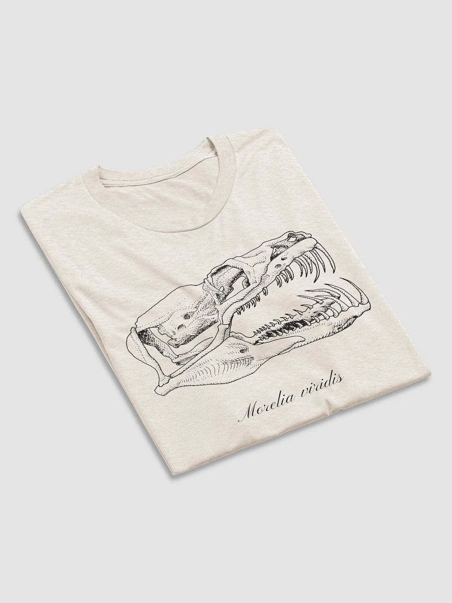 Green Python Skull product image (12)