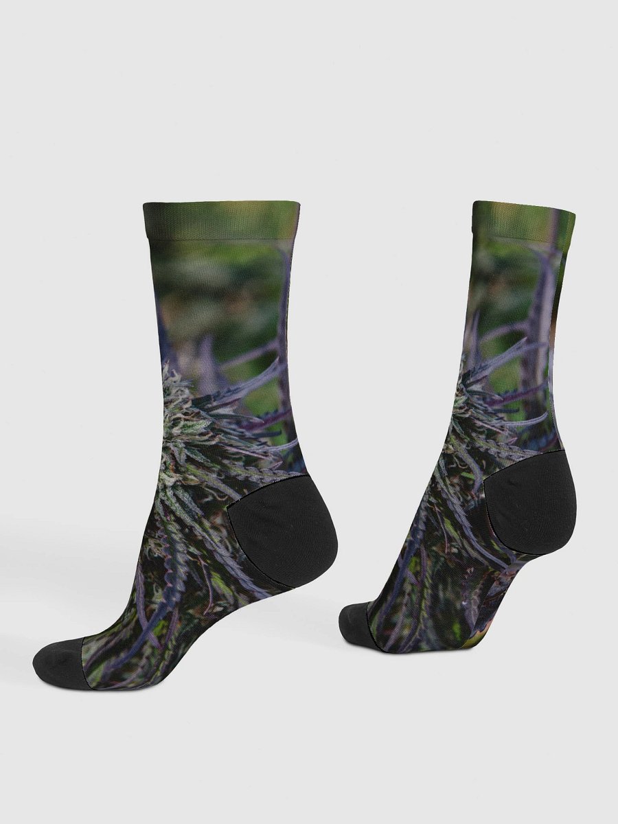 Royal Purple Cultivated Socks product image (4)