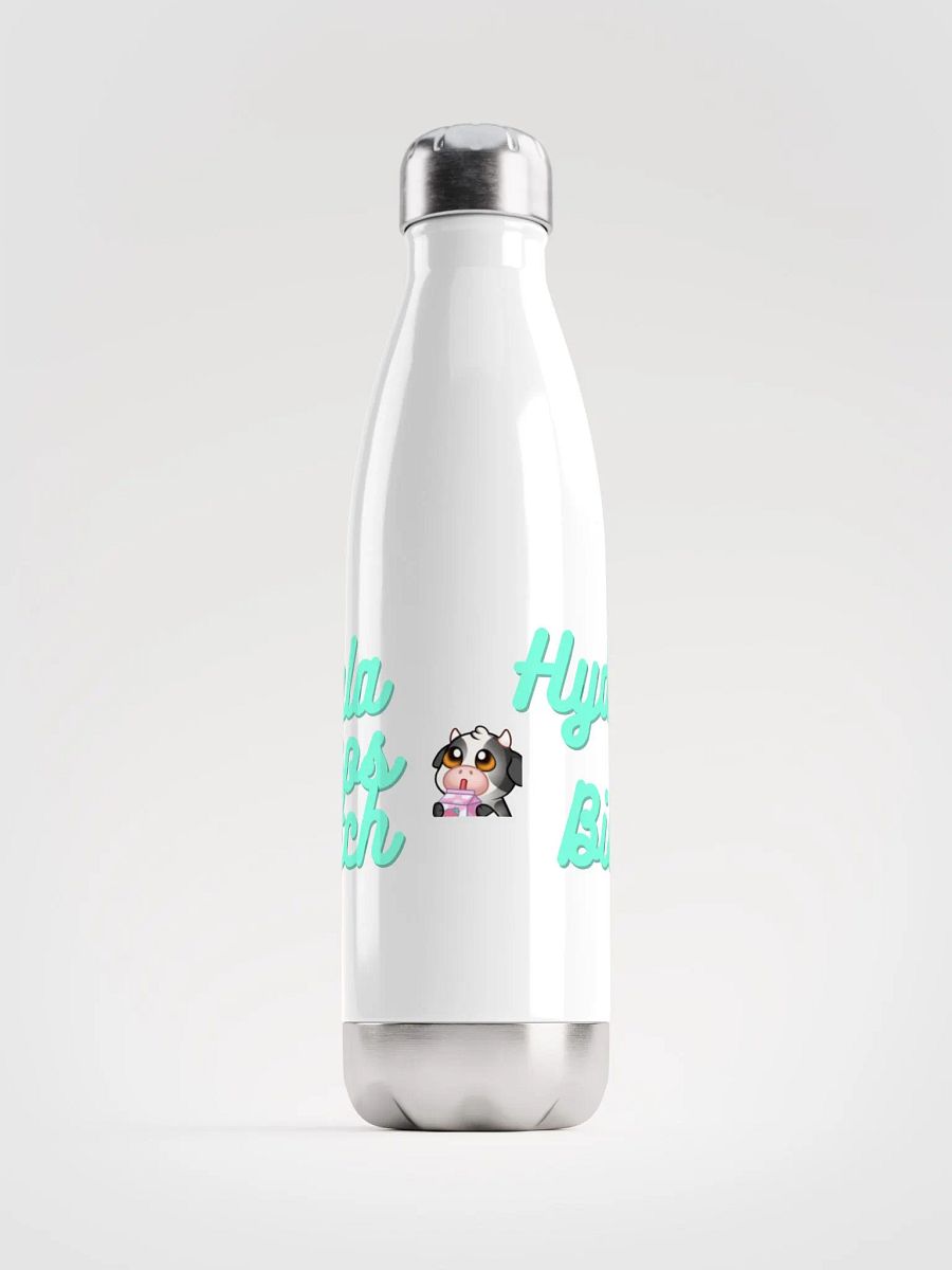 Hydrate Bish! product image (1)