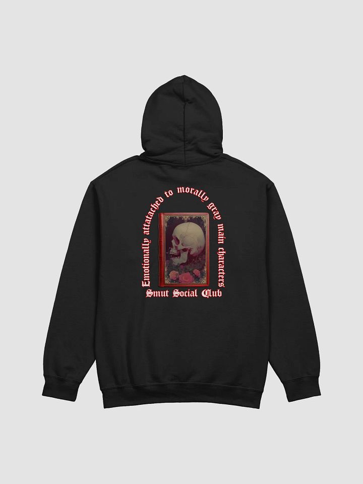 Booktok - Attracted To Morally Grey Hoodie product image (13)