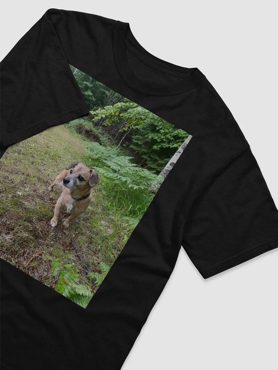 Rocky Tee product image (6)