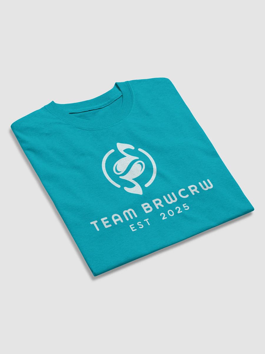 Team BRWCRW Est. 2025 T-shirt product image (4)