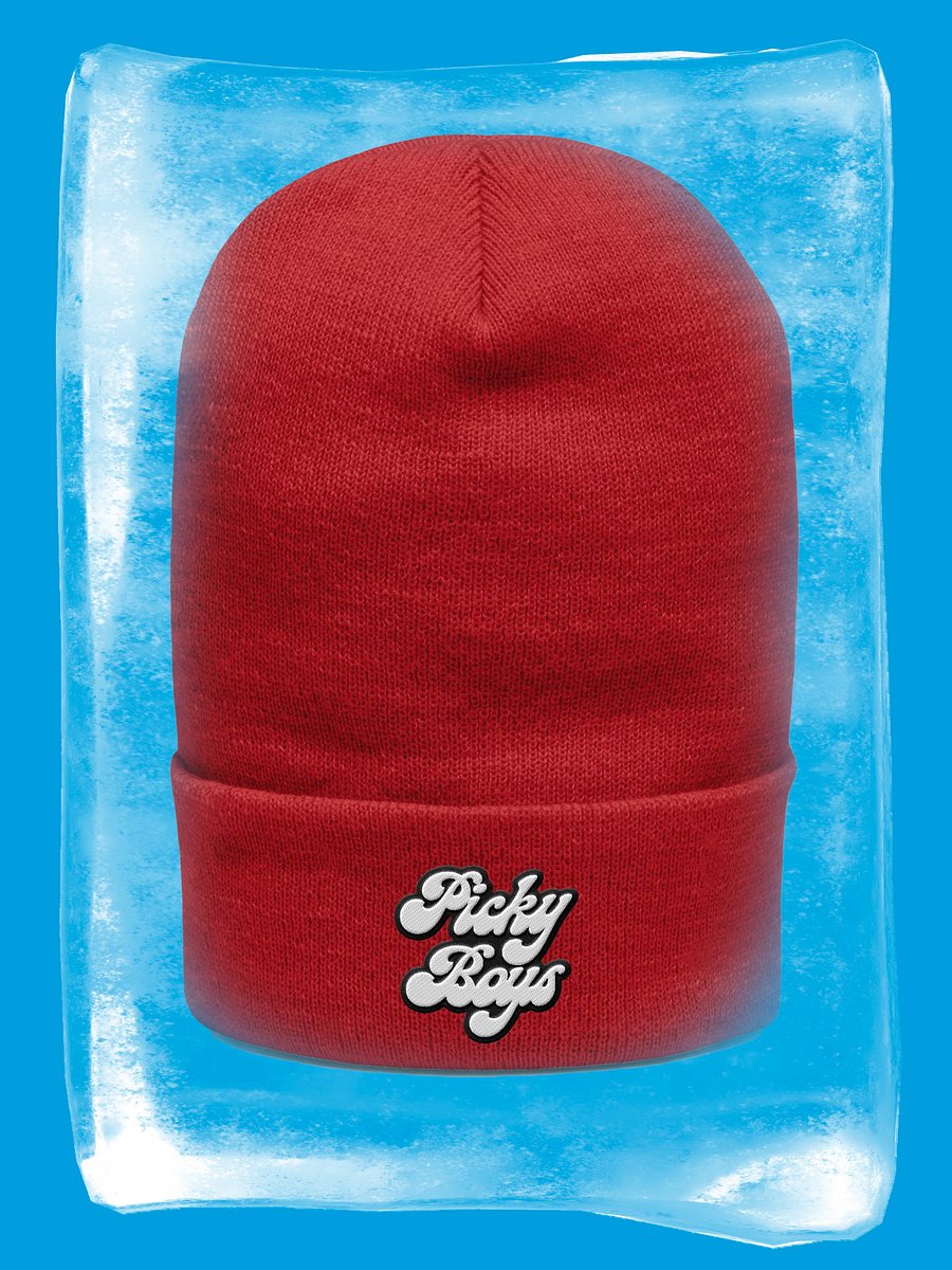 Picky Boys Beanie product image (21)