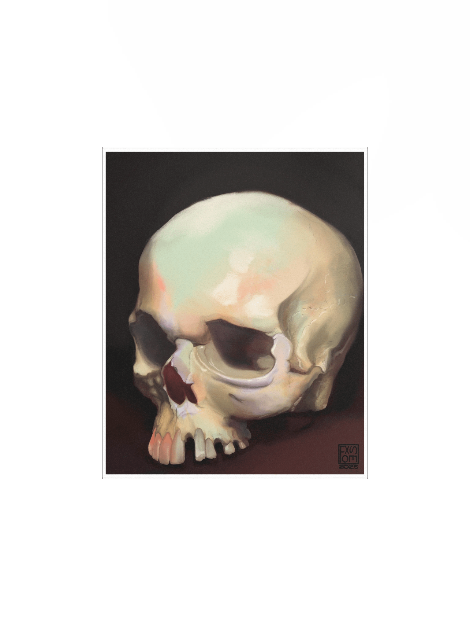Skull Study product image (2)