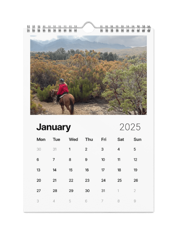 2025 Sorrel Calendar product image (1)