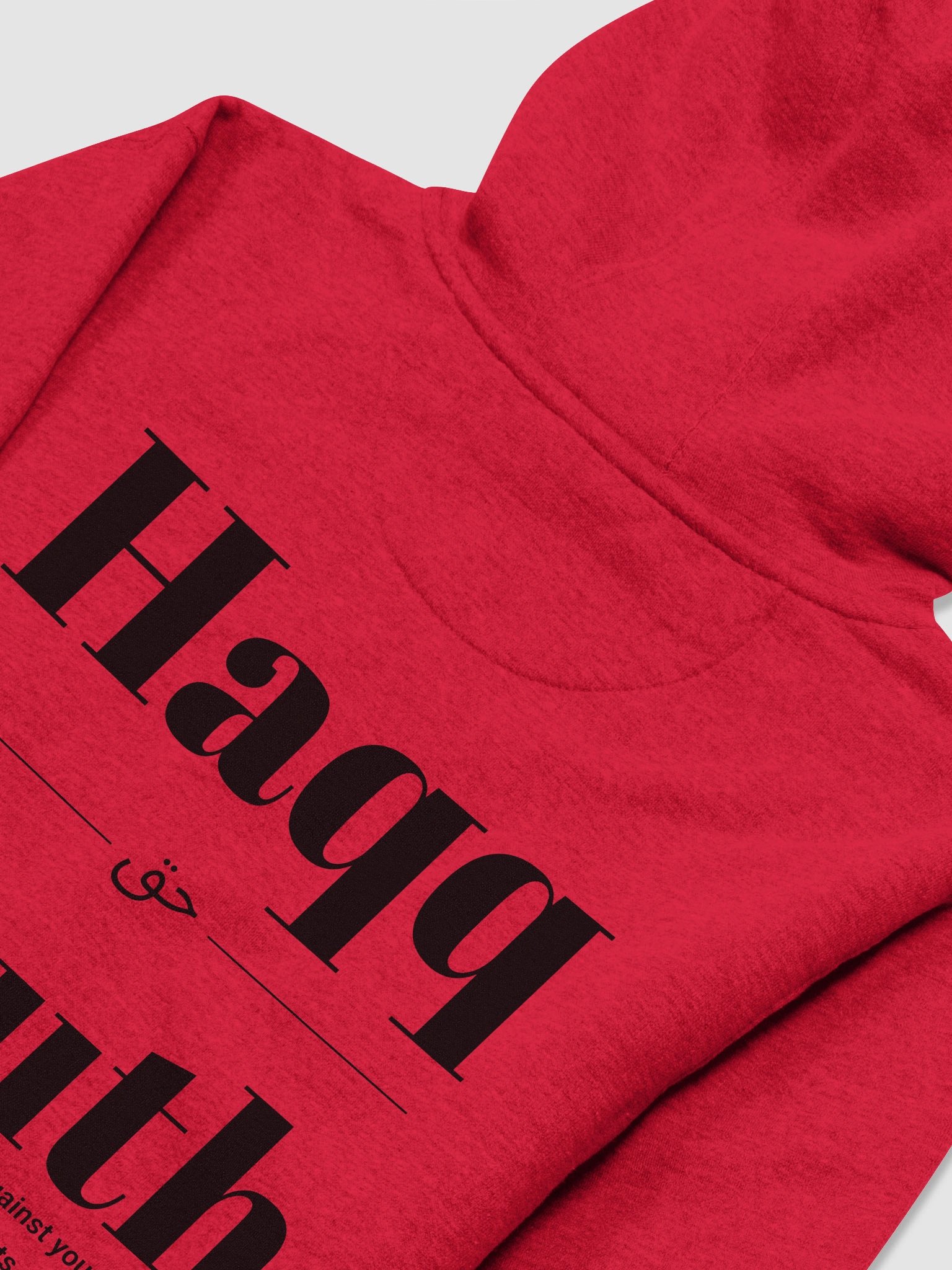 Haqq/Truth Hoodie - Red product image (2)