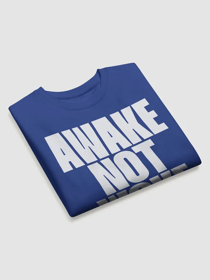 AWAKE NOT WOKE Premium Sweatshirt product image (30)