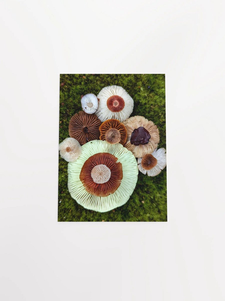 A Thousand Gills (Print) product image (39)