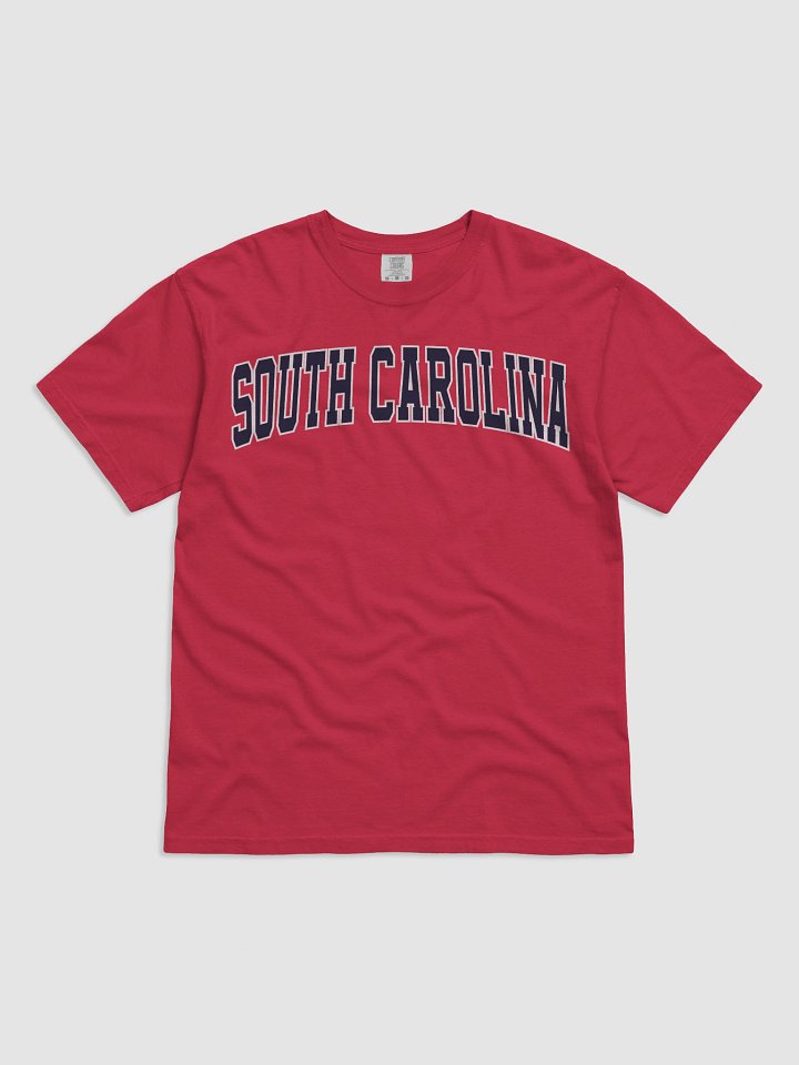 South Carolina Vintage Stylish Unisex Garment-Dyed T-shirt product image (2)