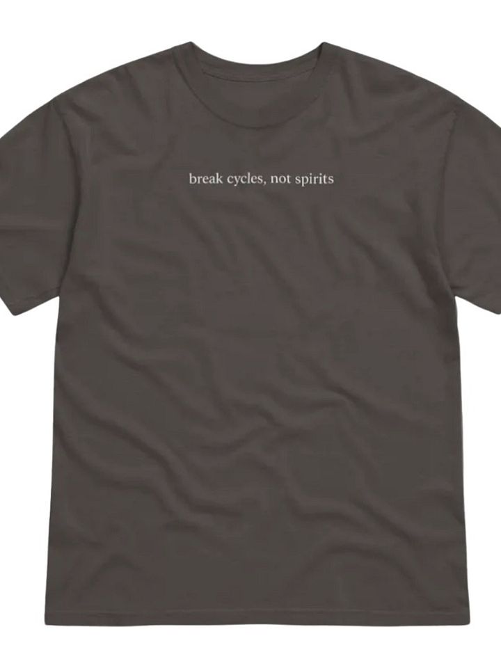 Break Cycles Not Spirits Tee product image (1)