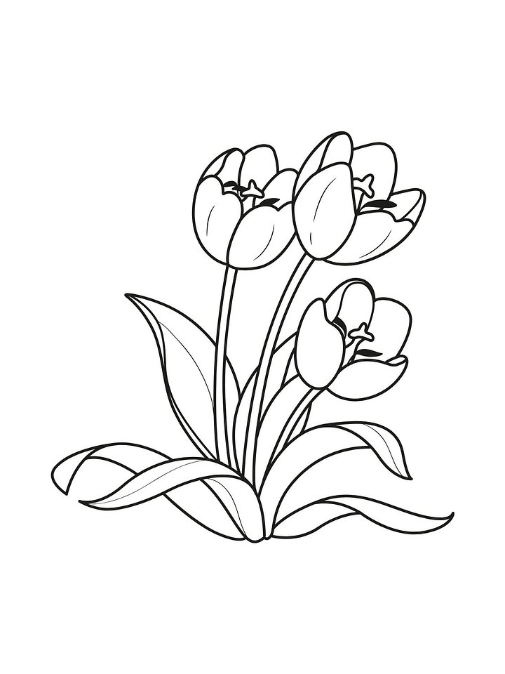 Flowers & Trees Coloring Pages product image (2)