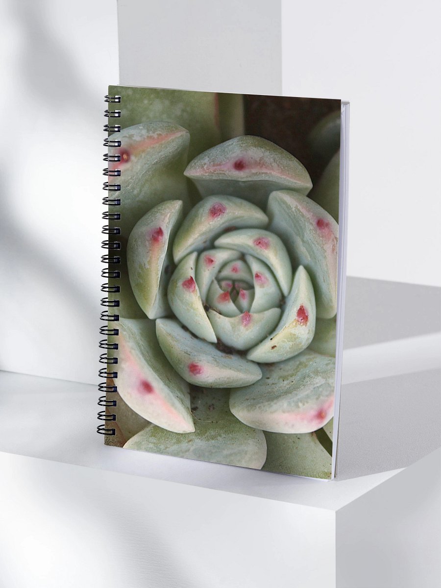 Red Tipped Succulent Spiral Notebook product image (4)
