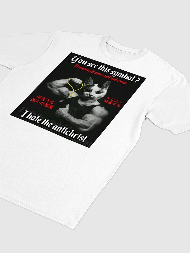 Demons Not Welcome - T Shirt (Heavyweight) product image (32)