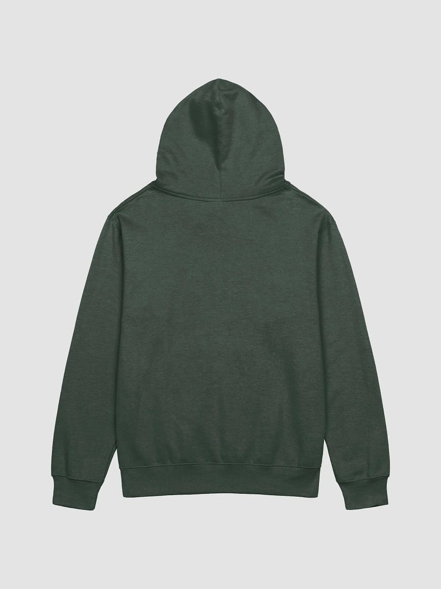 Good Vibes Globe Hoodie product image (2)