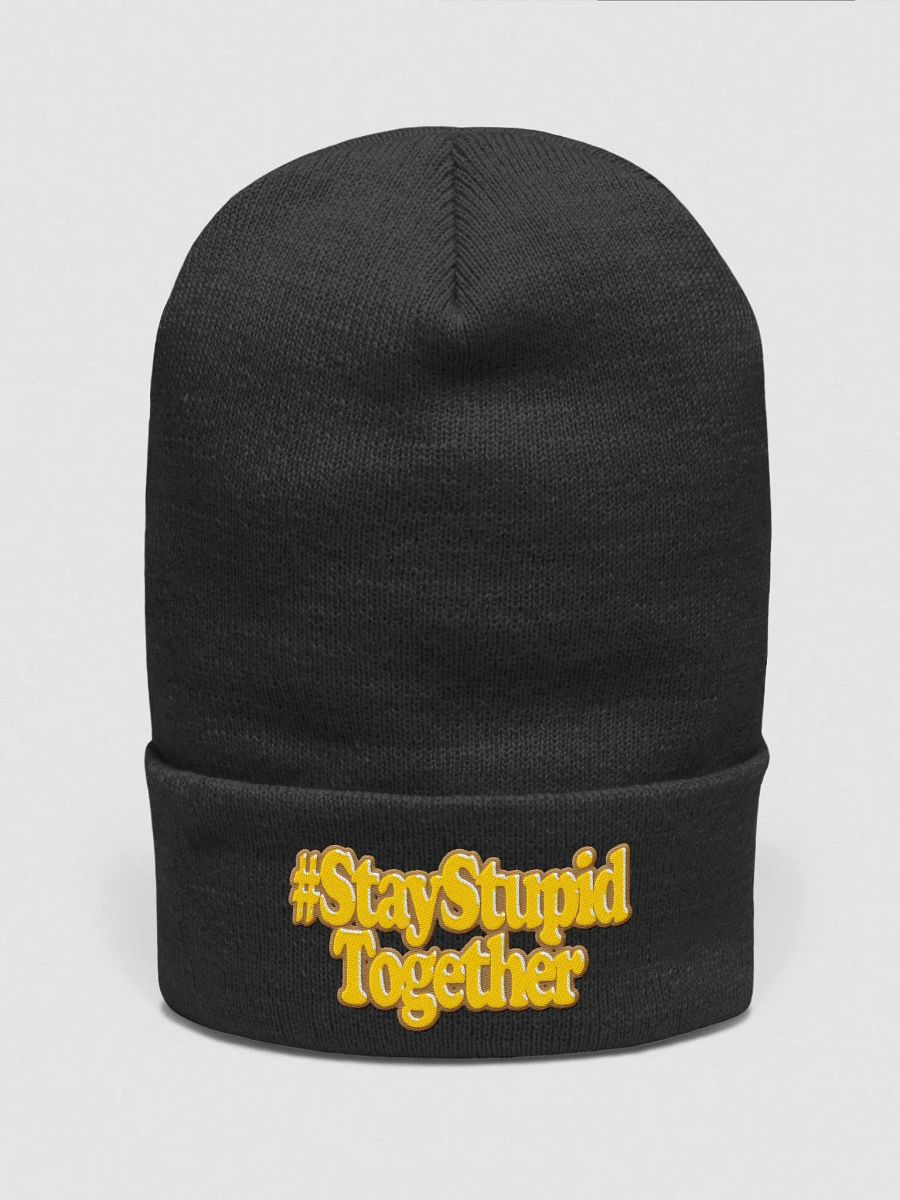 SST Beanie product image (6)