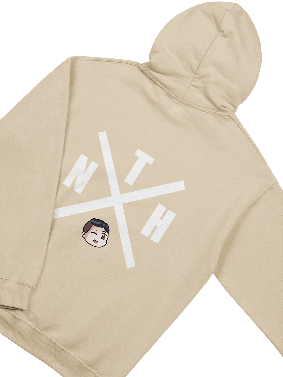 NTH HOODIE product image (4)