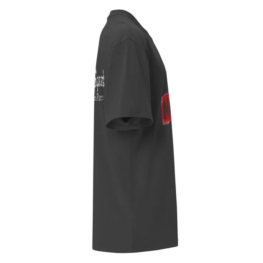 Oversized NooB T-shirt product image (20)
