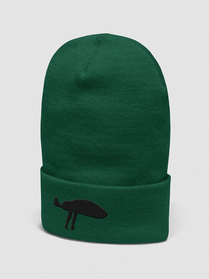 The Anomaly Beanie product image (11)