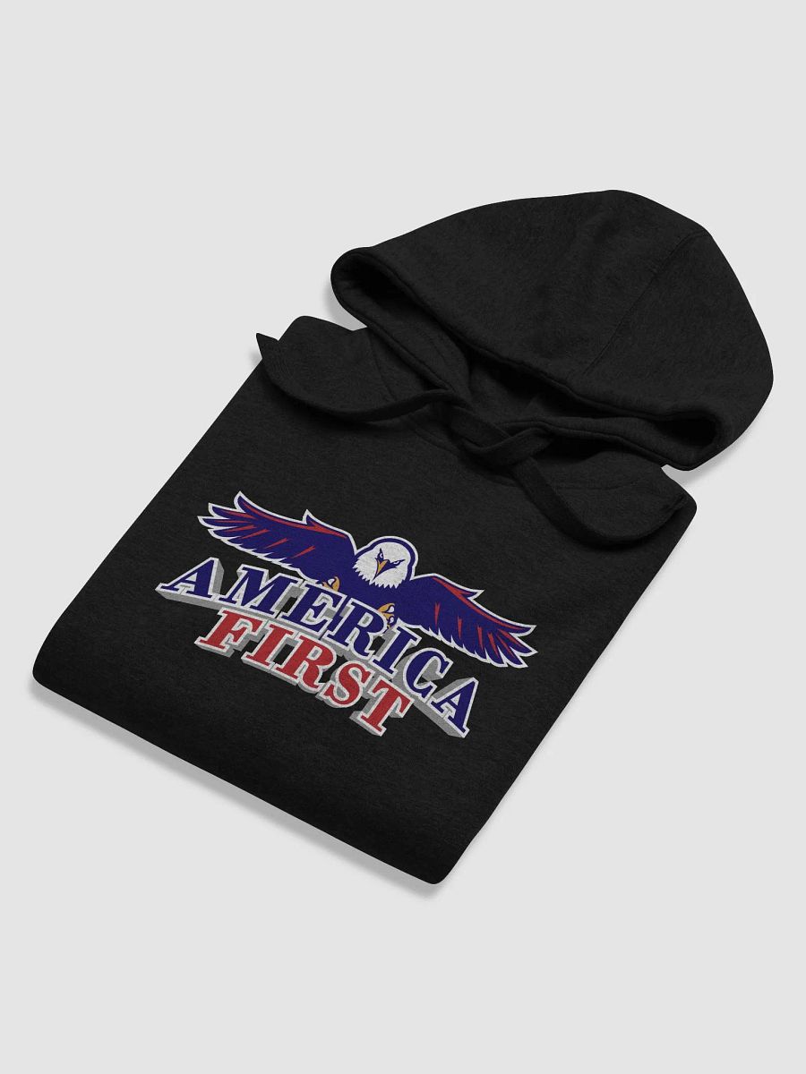 America First - Premium Hoodie product image (4)
