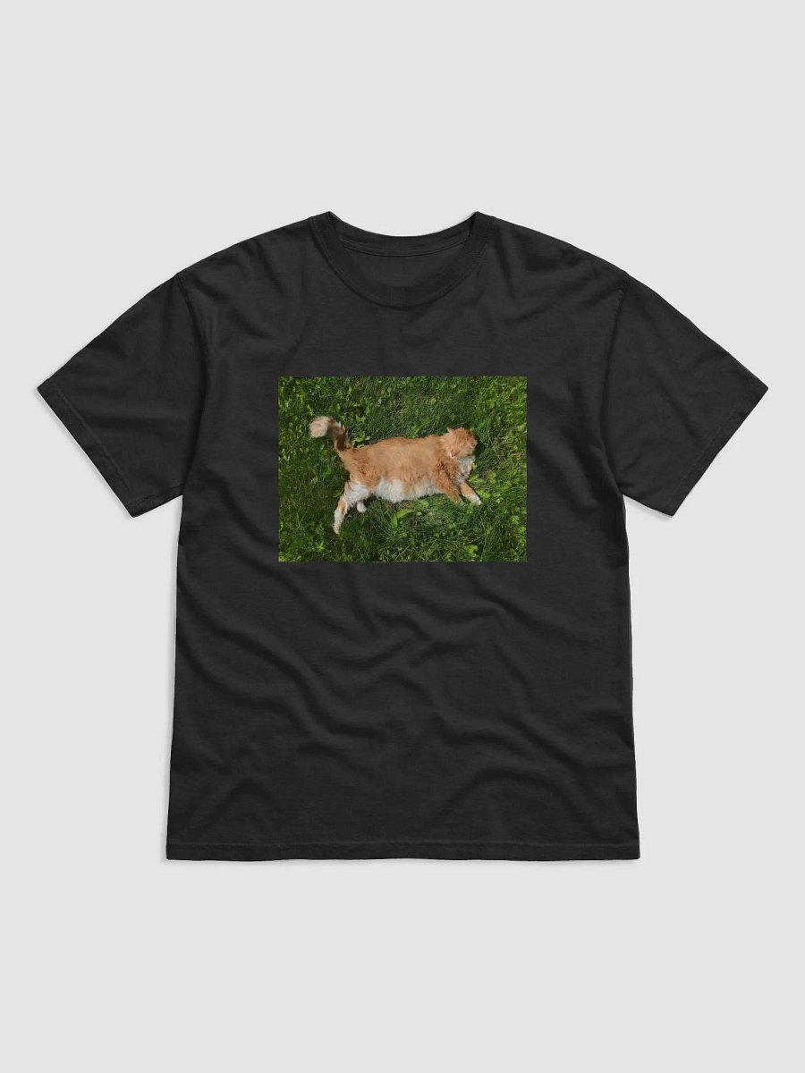Sun Bathing Boy Tee product image (1)