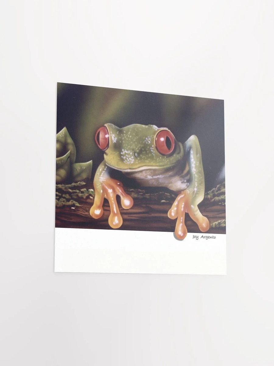 Tree Frog on a Log Print product image (3)