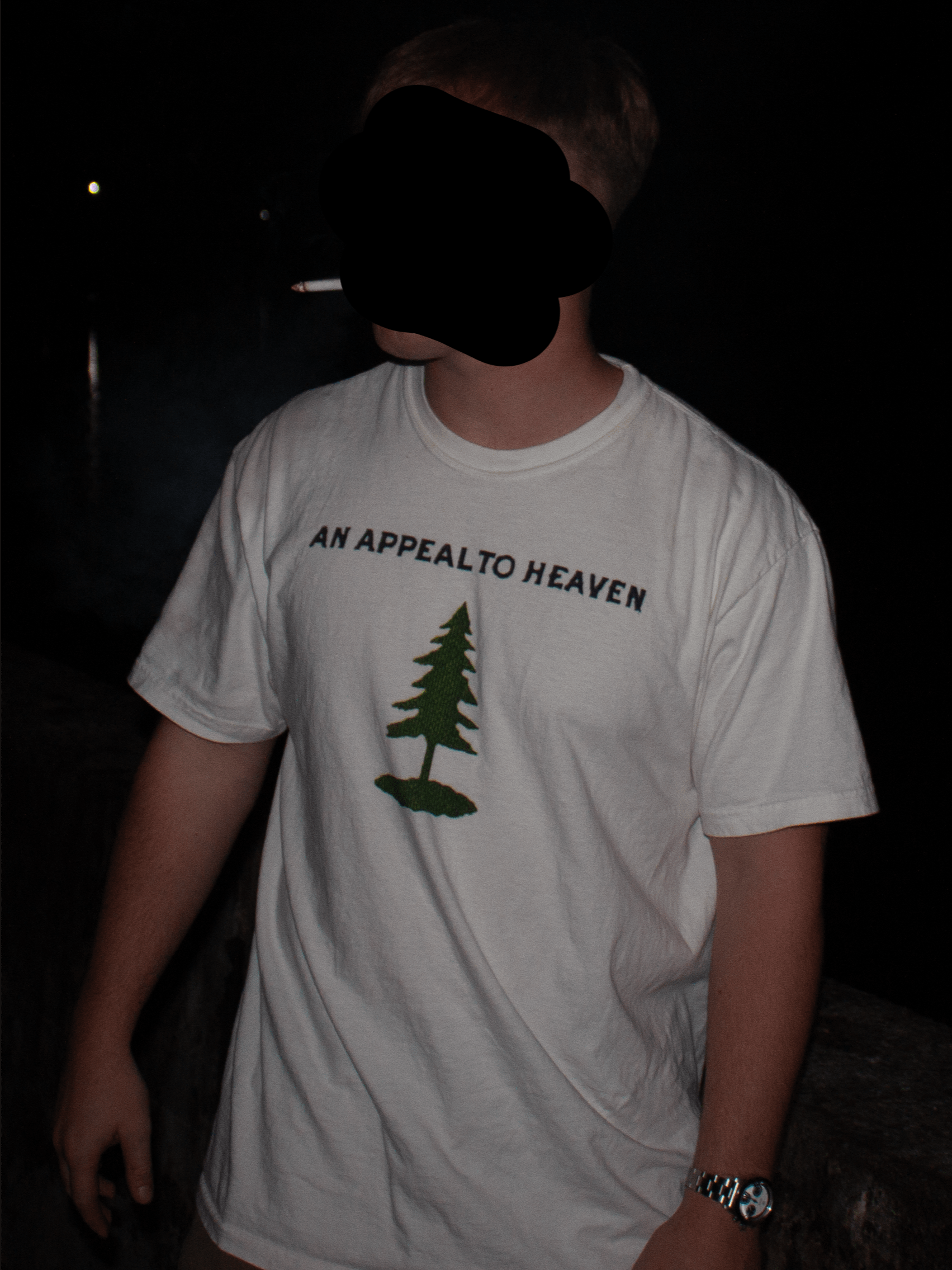 AN APPEAL TO HEAVEN SHIRT product image (3)