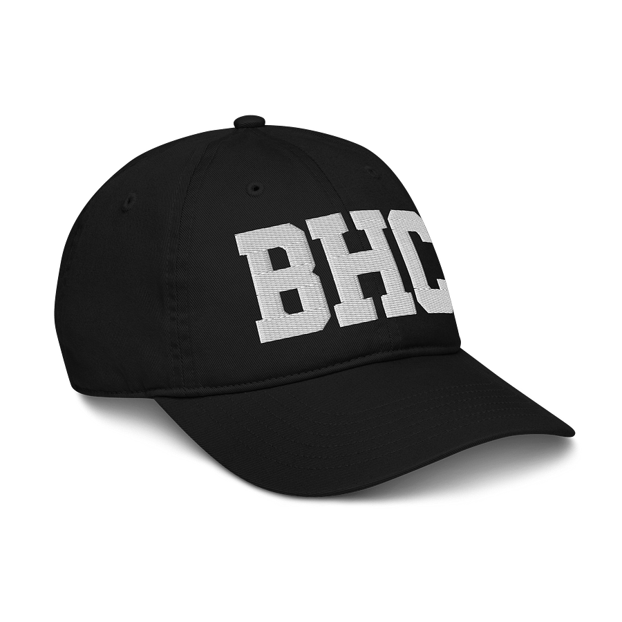 BHC Organic Dad Hat by Econscious product image (6)