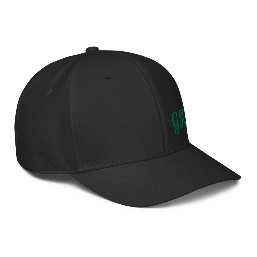 SNAP BACK CURVED BILL product image (3)