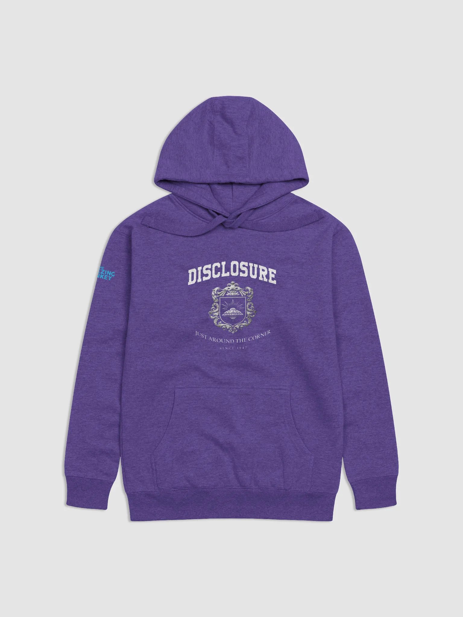 Original TSM Disclosure Hoodie for Girls product image (3)