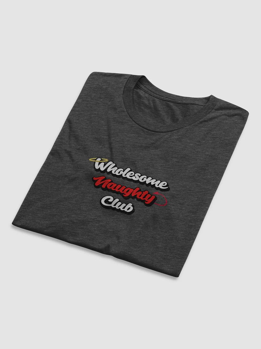 Wholesome Naughty Club Triblend Tee product image (41)