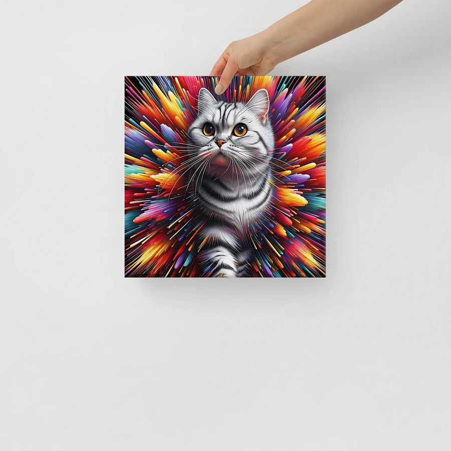 Canvas (in): American Shorthair product image (14)