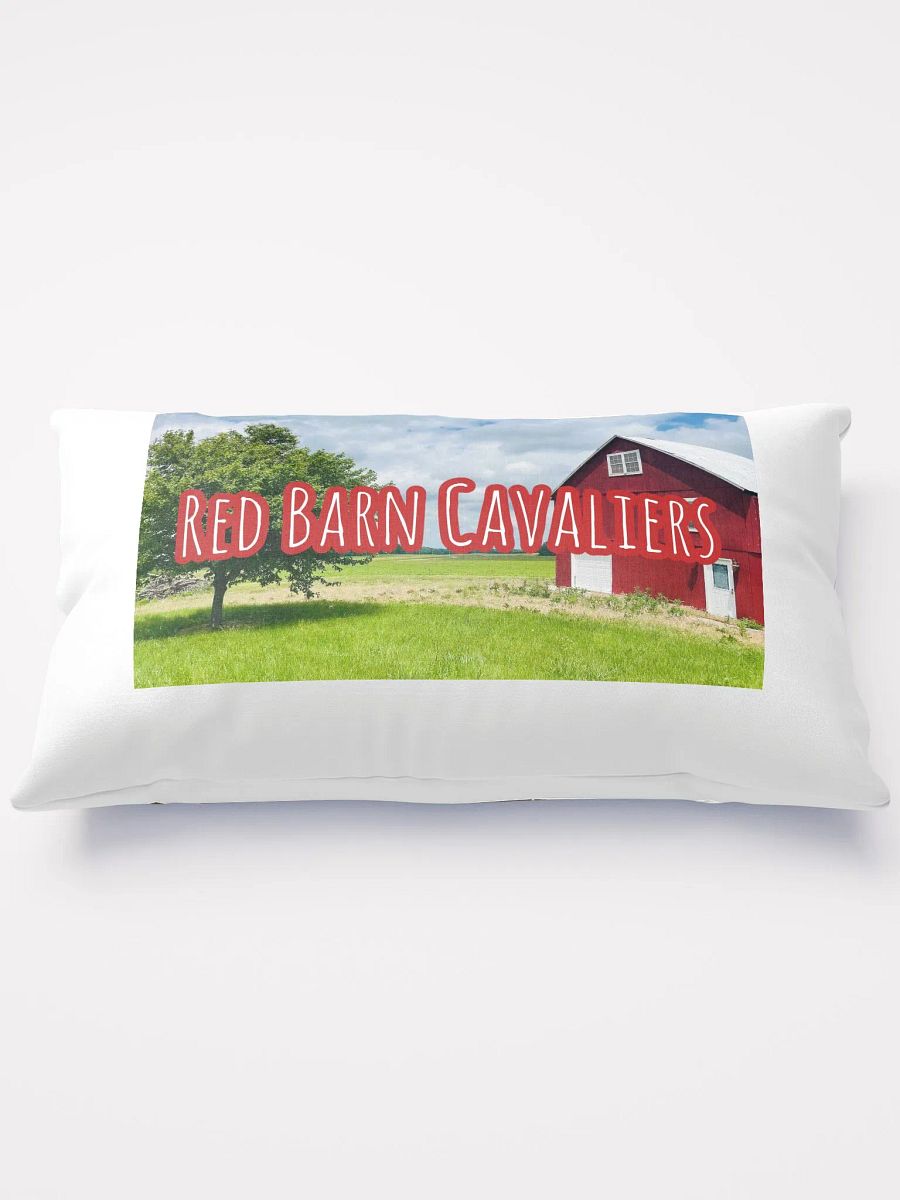 RBC Throw Pillow featuring Rio and Vienna product image (3)