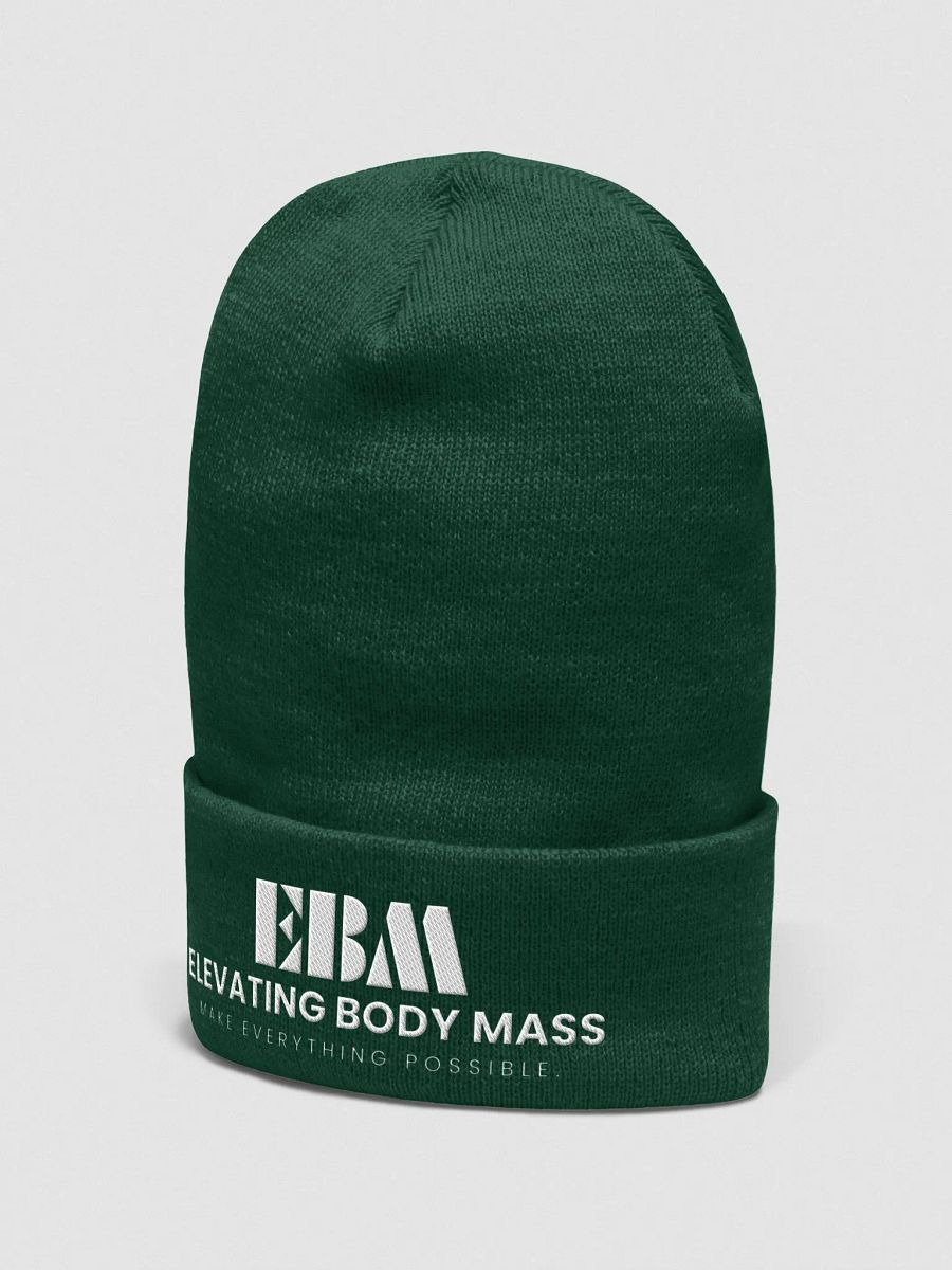 EBM Beanie (White Logo) product image (2)