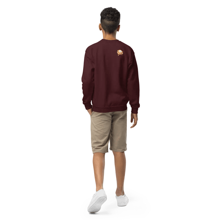 Professor Eggtop's Extraordinary Youth Sweatshirt product image (7)