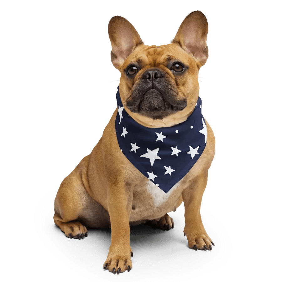 Blue + White Stars USA Bandana product image (1)