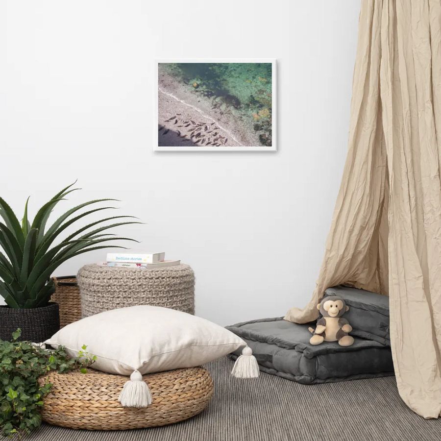 Seals on a hidden beach product image (7)