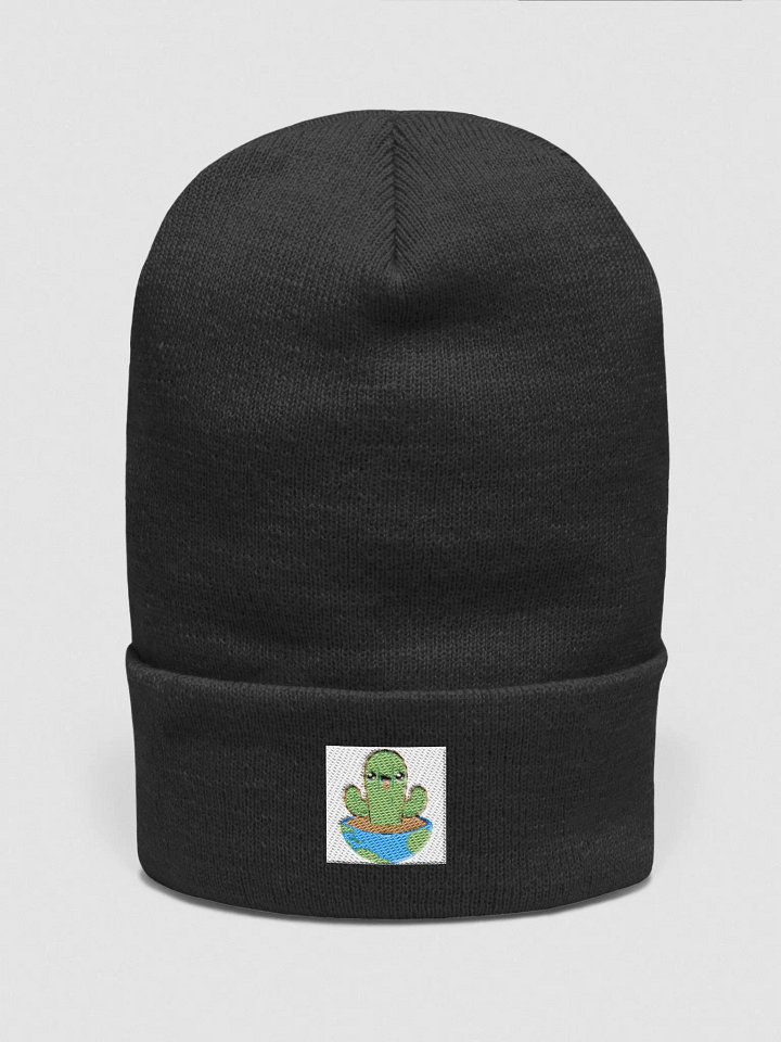 Hen's Cactus product image (1)